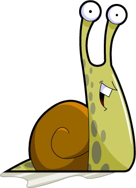 snail