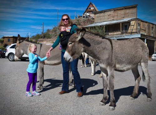 Petting the Burros in Oatman, AZ