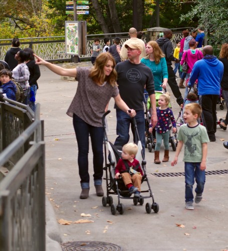 At the Dallas Zoo